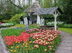 Keukenhof-a