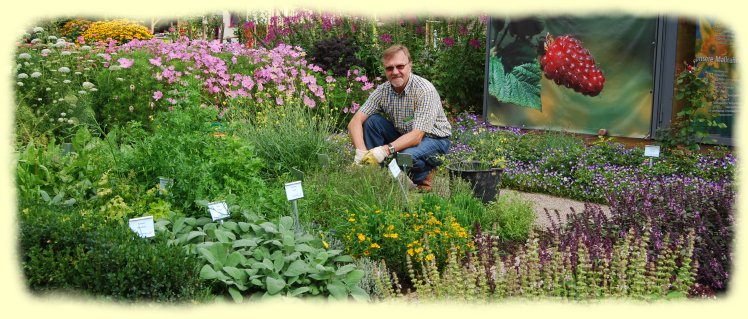 Arbeitseinsatz - Kr�utergarten