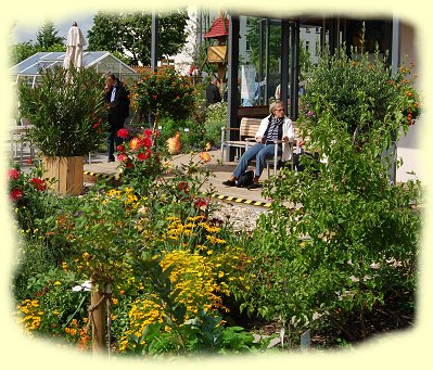 Arbeitseinsatz - Pavillon mit ppige Kbelpflanzenpracht von Wandelrschen, Oleander