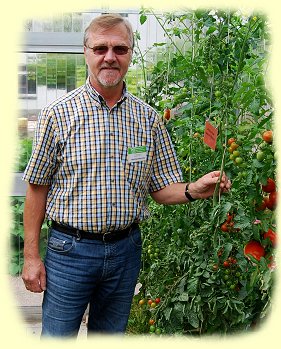Arbeitseinsatz - Tomatenhaus