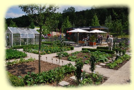 Freizeitgarten am 22. Juni 2010