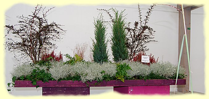 Herbstbepflanzung Herbstbepflanzung