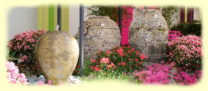 Azaleenausstellung in der Blumenhalle
