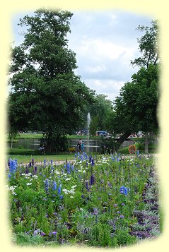 Stauden- und Blumenbeet Stauden- und Blumenbeet