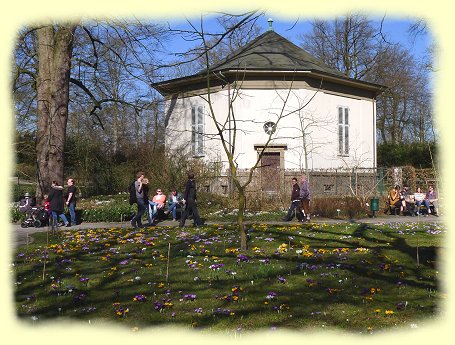 Botanischer-Garten in Münster - Krokusse