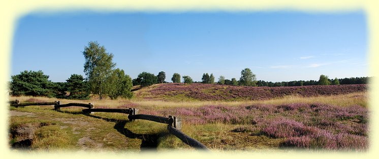 Westruper Heide - 3