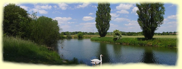 Naturschutzgebiet Tibaum - 1