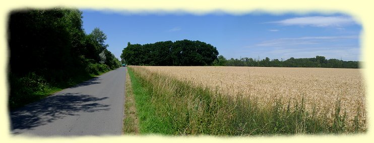 Klostermhlenweg