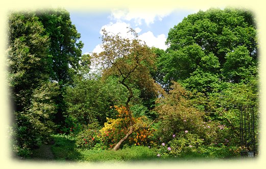 Rombergpark Rombergpark