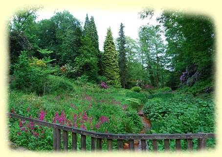 Rombergpark --  Primel- und Farntal