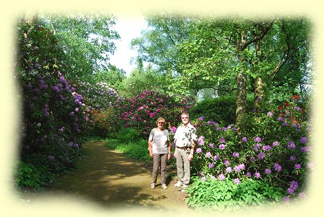 Rombergpark - 3