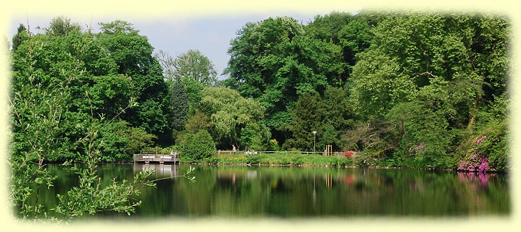 Rombergpark - Aussichtsplattformen Rombergpark - Aussichtsplattformen