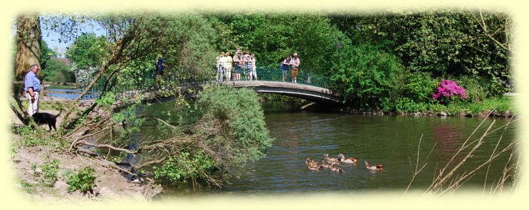 Rombergpark -  Bogenbr�cke