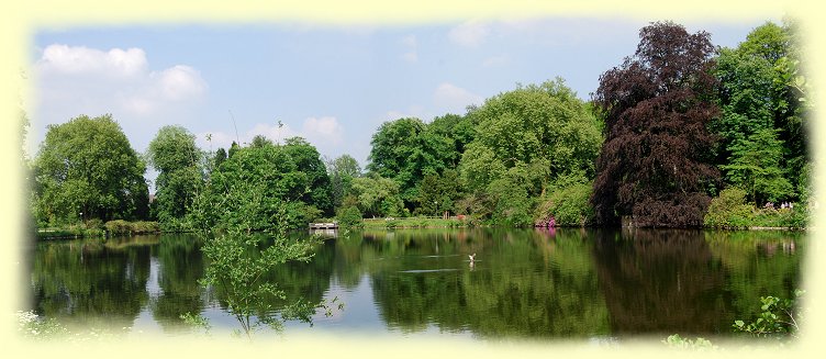 Rombergpark - Großen Teich oder auch Schlossteich Rombergpark - Großen Teich oder auch Schlossteich