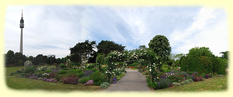 Westfalenpark --- Rosengarten am Kaiserhain