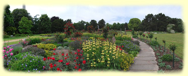 Westfalenpark -- Rosengarten am Kaiserhain