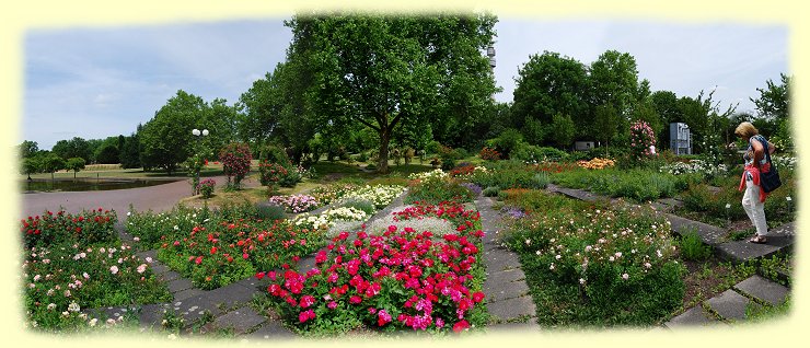 Westfalenpark -  ADR-Rosen