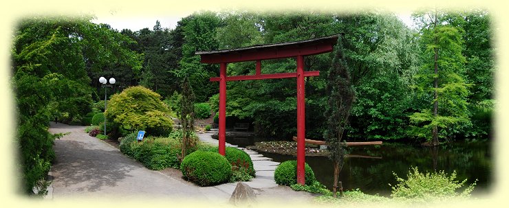 ostasiatische Pflanzenpracht -- Westfalenpark ostasiatische Pflanzenpracht -- Westfalenpark