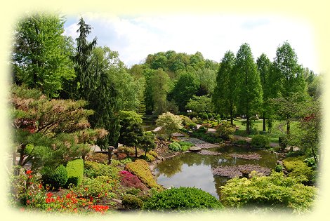 ostasiatische Pflanzenpracht - Westfalenpark ostasiatische Pflanzenpracht - Westfalenpark