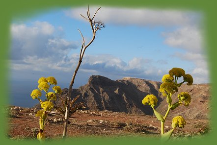 Reise - Barranco de la Poceta - Lanzarote