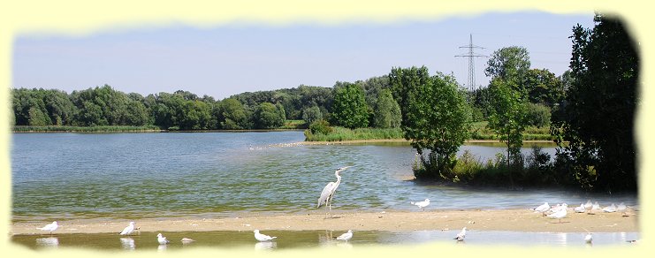 Radbodsee