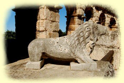 Pula - der Löwe im alten Amphitheater in Pula - Kroatien