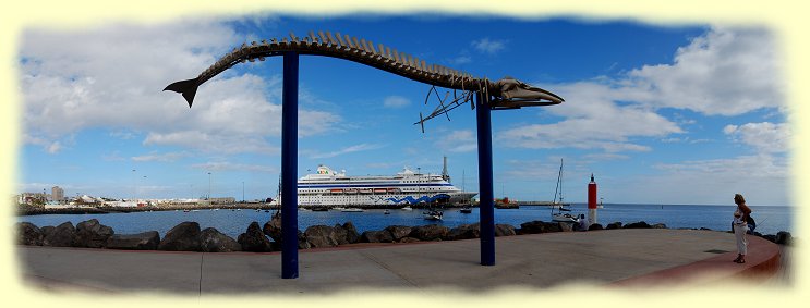Puerto del Rosario - Brydewal