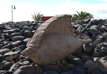 Puerto del Rosario - Las Caracolos 3