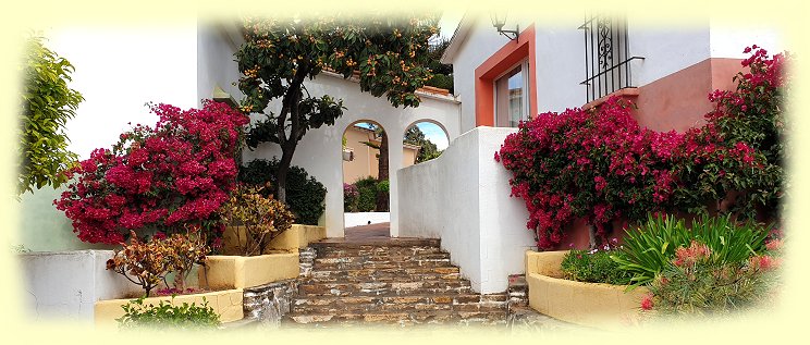 Marbella Playa Hotel - Bougainvillea