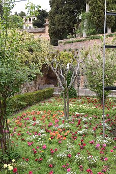 Alhambra - Grten der Generalife 1