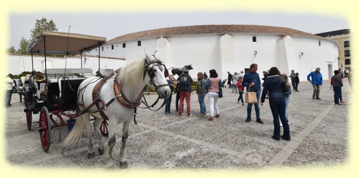 Ronda - Plaza de Torros