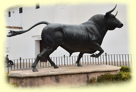 Ronda - Plaza de Torros - Stier