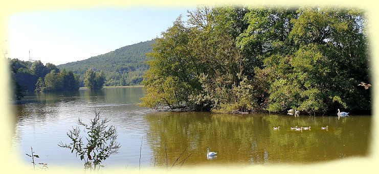 Schieder - Stausee - Südseite Schieder - Stausee - Südseite