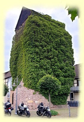 Bodenwerder - Festungsturm