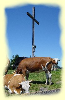 Hochplateau ber den Heigelkopf