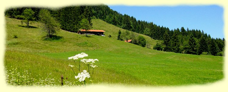 grne Wiesen und dichte Wlder begleiten uns bis nach Wackersberg