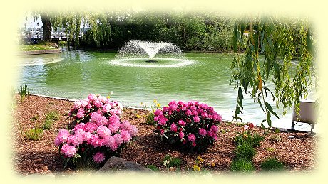 bad Zwischenahn - Teich im Kurpark