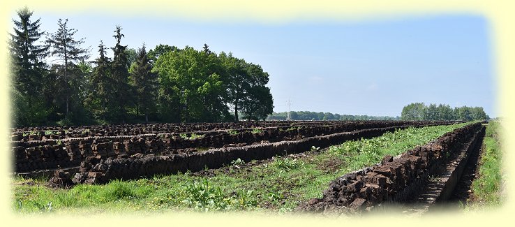 Ammerland --  Moorlandschaft an der Portsloger Strae bei Petersfehn