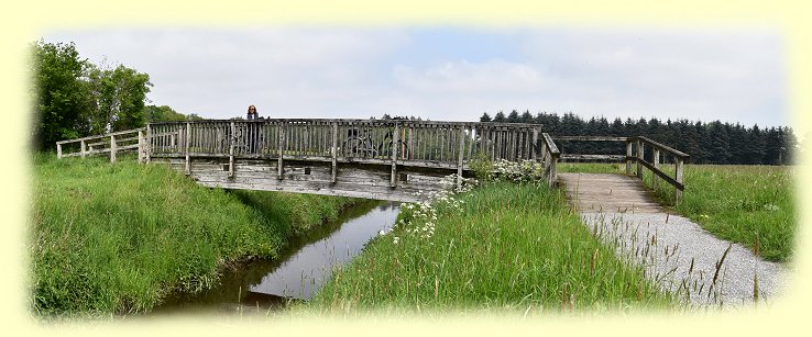 Brcke ber die Groe Sderbke