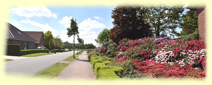 Ocholt - Rhododendronblten