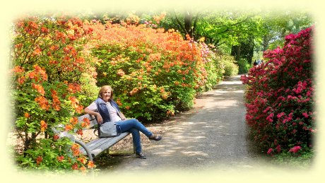 Park der Grten - Rhododendren