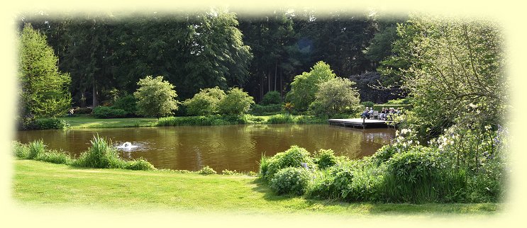 Rhododendronpark Gristede - Teich