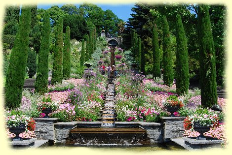 Insel Mainau - italienische Blumen - Wassertreppe