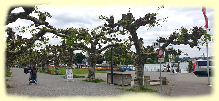 Kreuzlingen - Seeburgpark