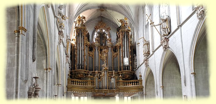 Salemer Mnster - Orgel