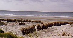 Borkum Startseite neu