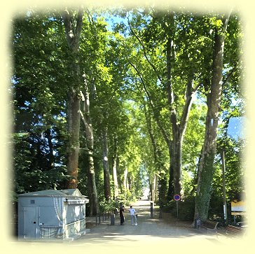 Straburg 2025 - Parc de LOrangerie