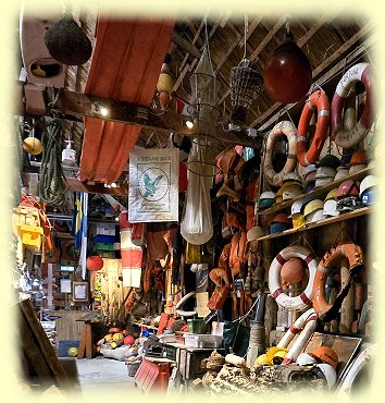 Texel - Museum - Strandgut