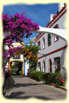 Puerto de Mogan - Bougainvilleas berwucherte Steinbgen