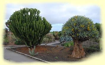 Telde - Parque San Juan